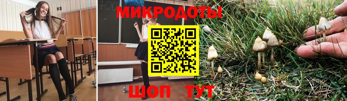 Мелеуз  Галлюциногенные грибы Magic Shrooms  Вход с VPN 